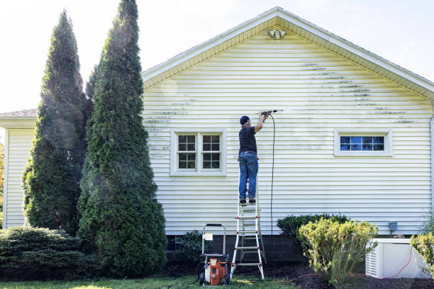 Best Local Pressure Washing Services  in Tracy, MN