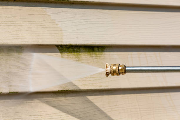 Best Deck Cleaning Services  in Tracy, MN